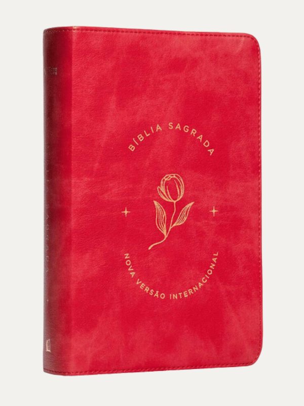 Bíblia Sagrada NVI I Letra Grande I Capa Luxo Vermelha Couro Soft