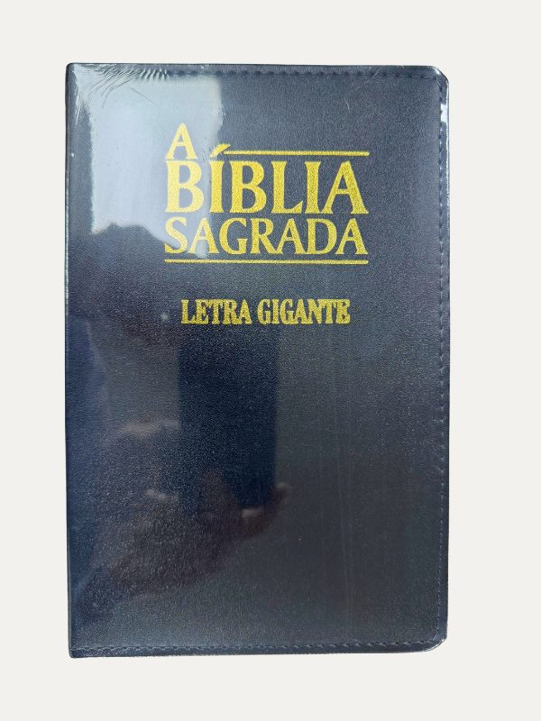 Bíblia Sagrada Letra gigante | Preta | SBTB