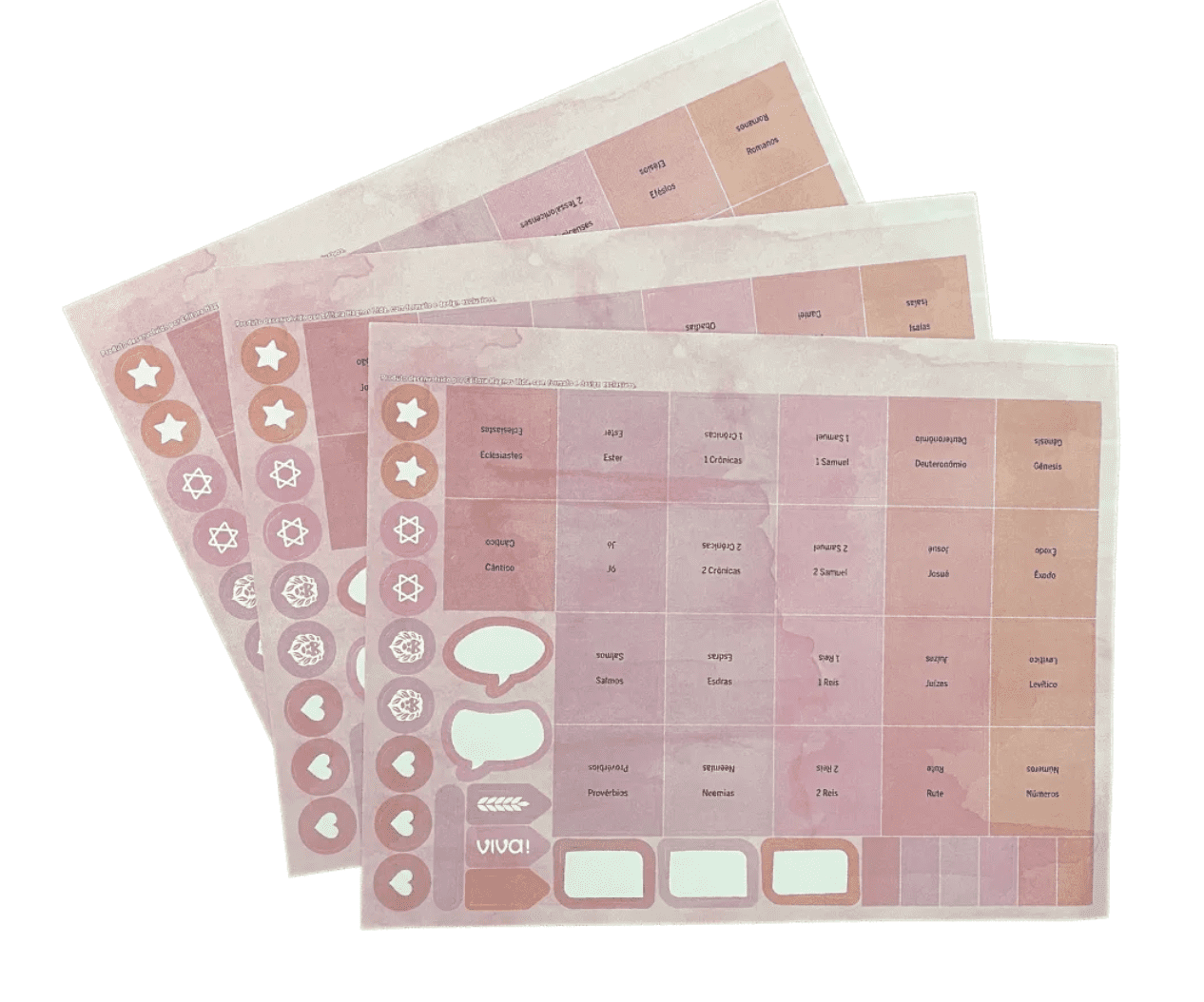 Aba Adesiva I Rosas do Campo