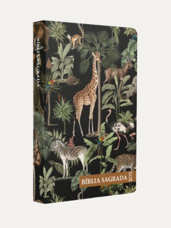 Bíblia Sagrada NVI I Criação de Deus I Plano de Leitura