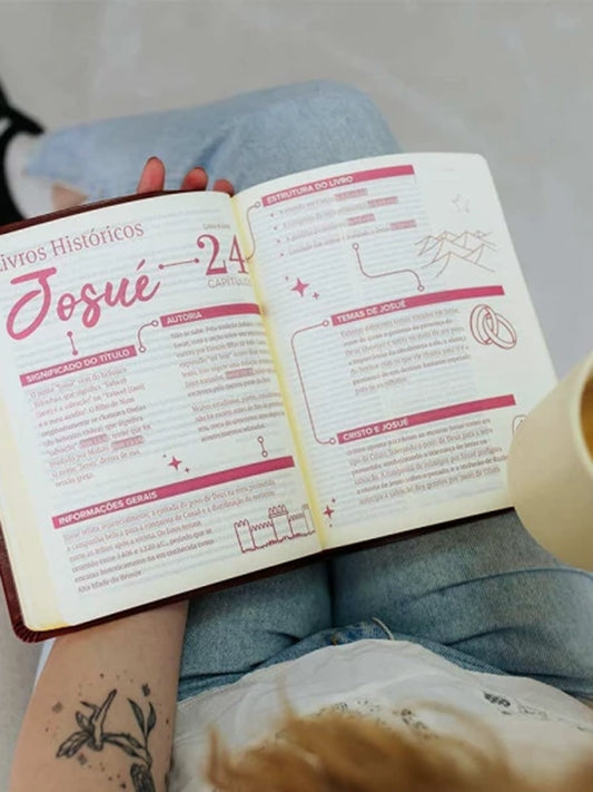 Bíblia Mulheres | Viviane Martinello | NAA | Espaço Para Anotações | Duas Colunas | Capa Clássica Bo