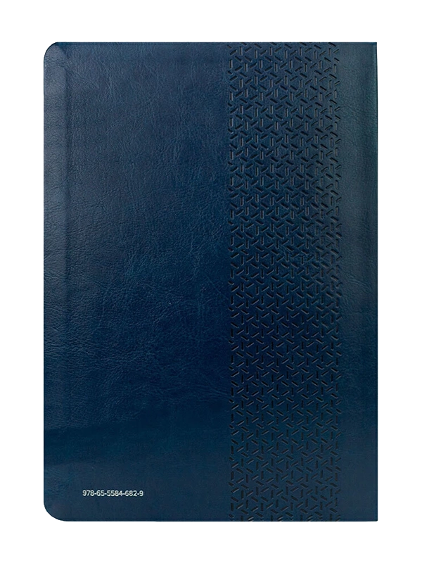 Bíblia Sagrada I Holy Bible I NVI I Português e Inglês I Azul