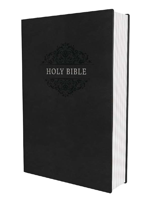 NIV, Holy Bible, Soft Touch Edition