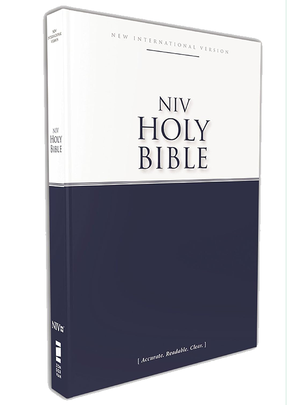 NVI, Holy Bible, Accurate