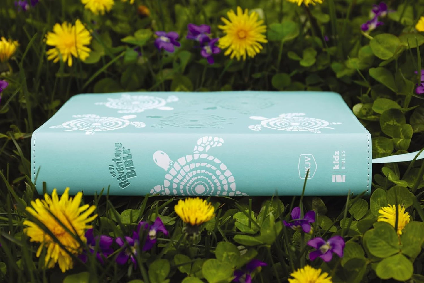 NKJV, Adventure Bible, Leathersoft, Teal, Full Color