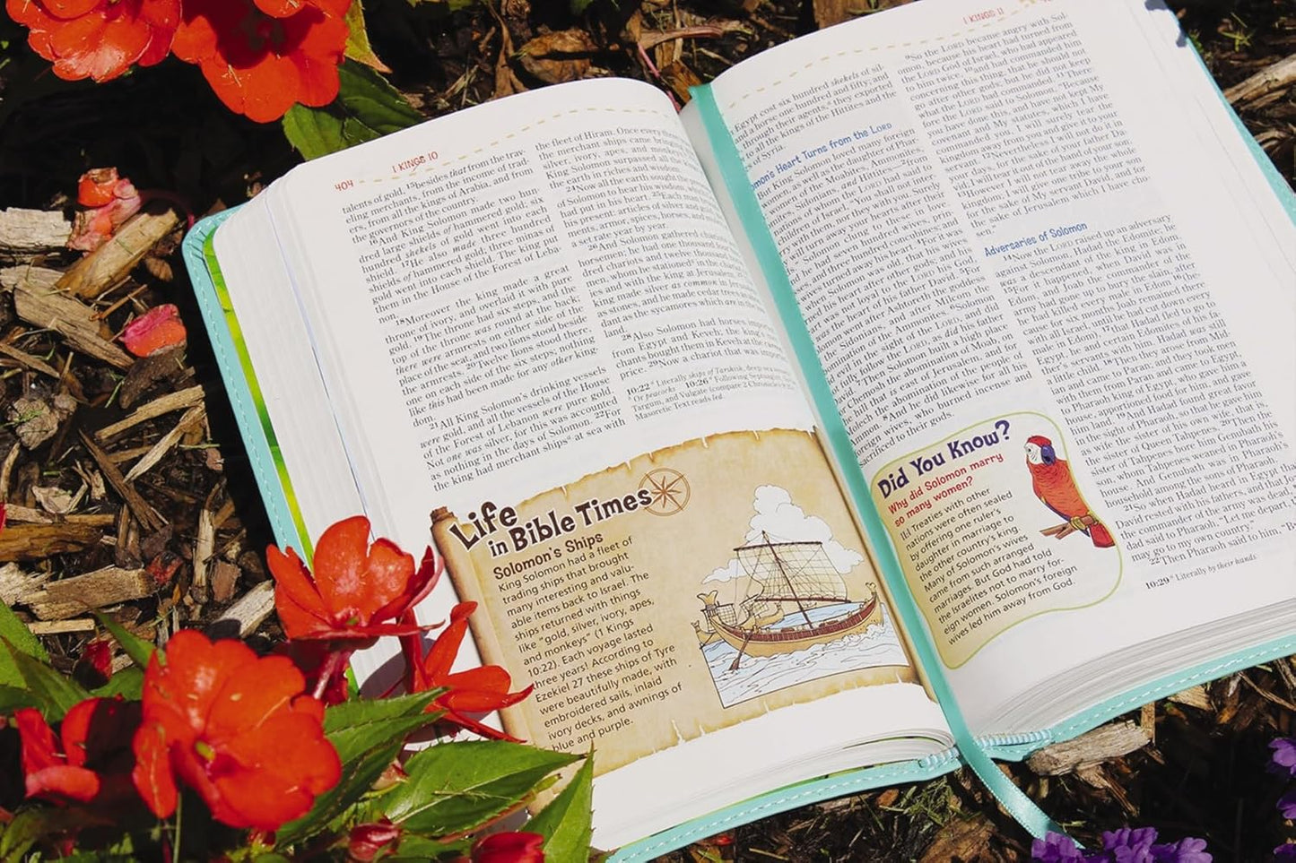 NKJV, Adventure Bible, Leathersoft, Teal, Full Color