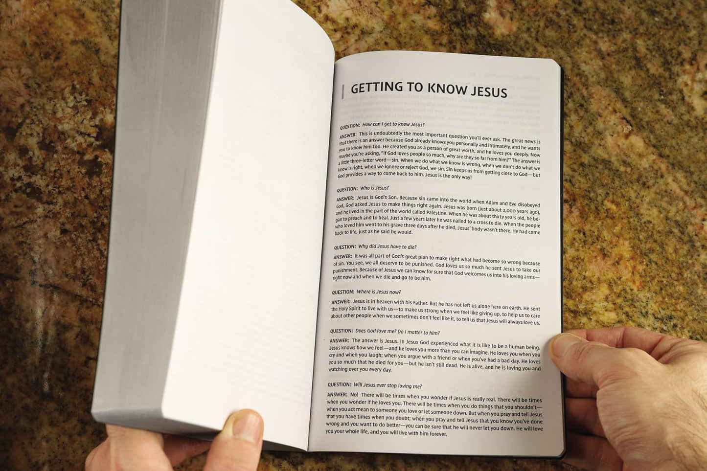 NIV, Holy Bible, Soft Touch Edition