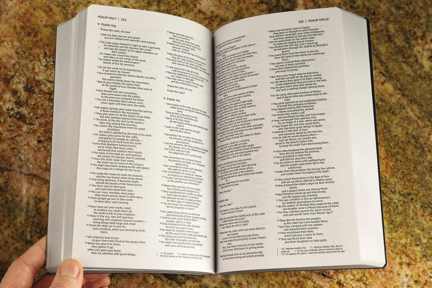 NIV, Holy Bible, Soft Touch Edition