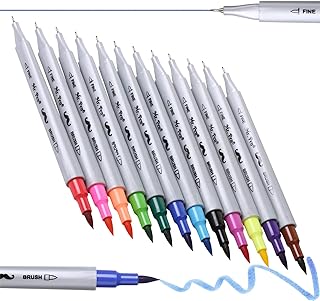 Canetinha de ponta dupla I 12 cores