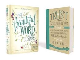 English NIV Beautiful Word Bible, hardcover -