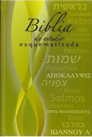 Biblia de Estudio Esquematizada / Schematic Study Bible (Spanish Edition)