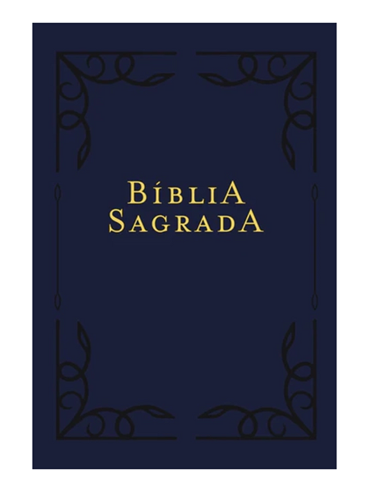 Bíblia NVI I Letra Sênior I Couro-soft azul I Leitura Perfeita