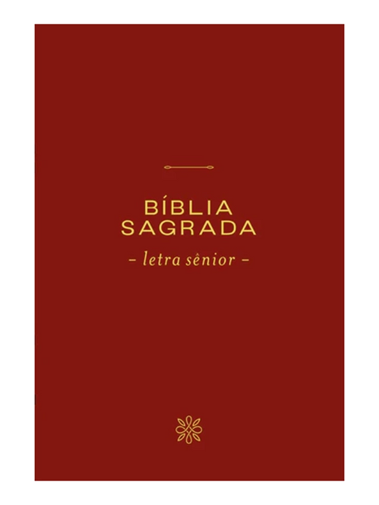 Bíblia NVI I  Letra Sênior I Couro-soft vinho I Leitura Perfeita