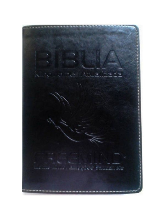 Bíblia KJA Freemind LG PretoBril