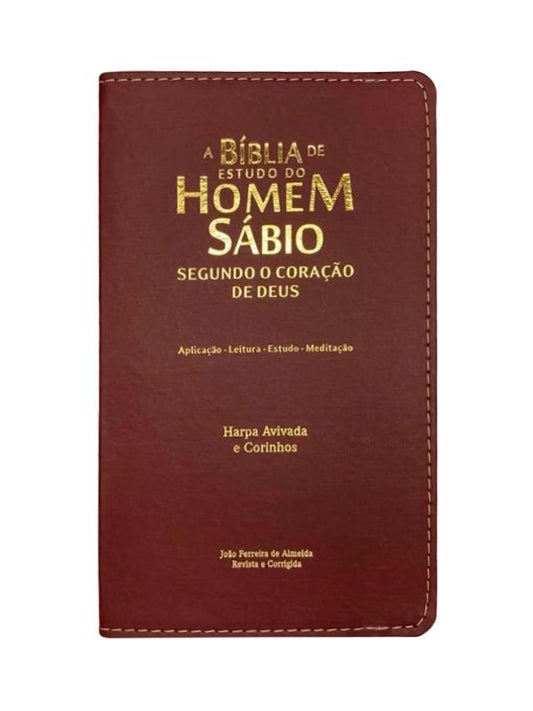 Bíblia do Homem Sábio Segundo o coração de Deus I Harpa I Bordo