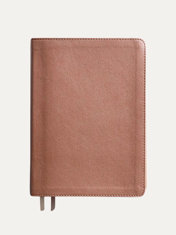 CSB She Reads Truth Bible--LeatherTouch I rose gold