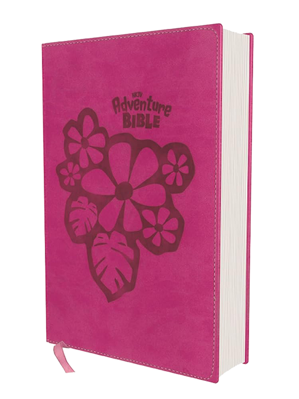 NKJV, Adventure Bible, Leathersoft, Pink, Full Color