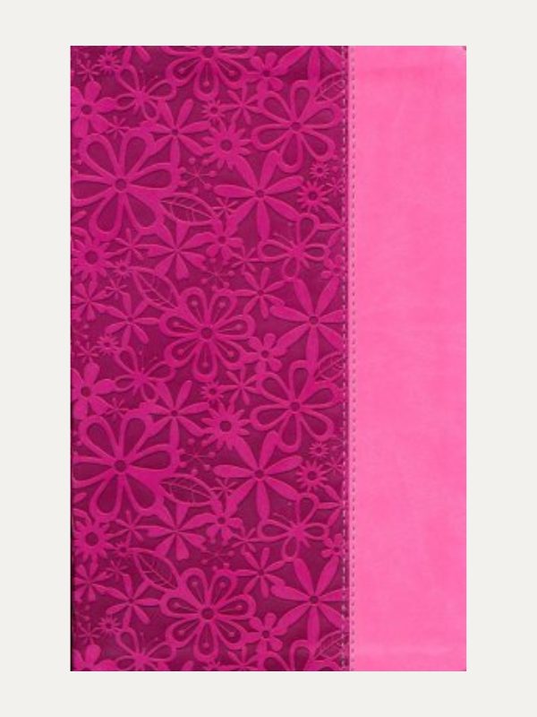 NIV Adventure Bible I Italian Duo-Tone I Raspberry/Pink