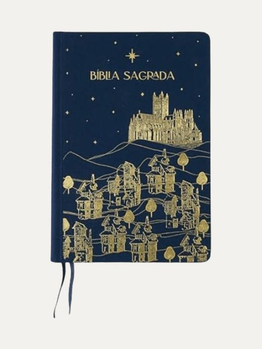 The Purpose Book I Bíblia Sagrada I A21 I Capa dura com tecido I Novo Reino