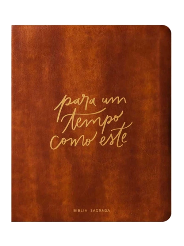 Bíblia Mulheres I Viviane Martinello I NAA I Capa Luxo Tempo como este