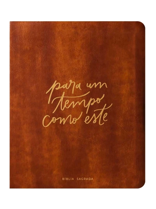 Bíblia Mulheres I Viviane Martinello I NAA I Capa Luxo Tempo como este