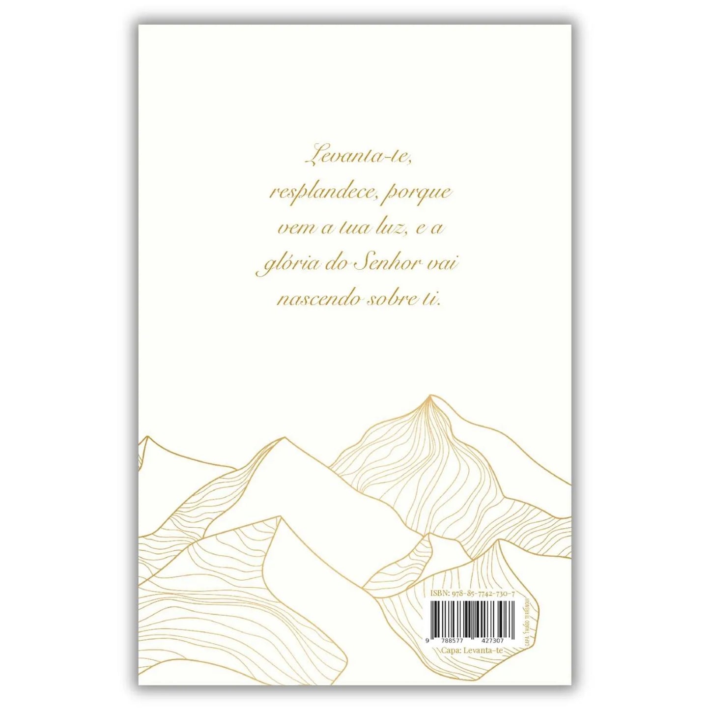 Bíblia Sagrada Acf - Levanta-te - Capa Dura - Borda Pintada