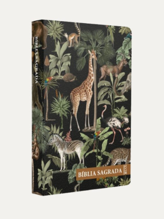 Bíblia Sagrada NVI I Criação de Deus I Plano de Leitura