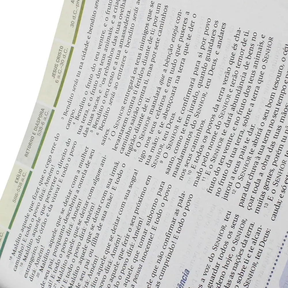 Bíblia de Estudo Cronológica Aplicação Pessoal I Tarja Verde I CPAD