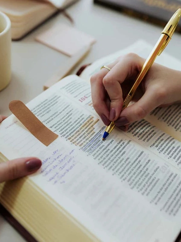 Bíblia Mulheres | Viviane Martinello | NAA | Espaço Para Anotações | Duas Colunas | Capa Clássica Bo